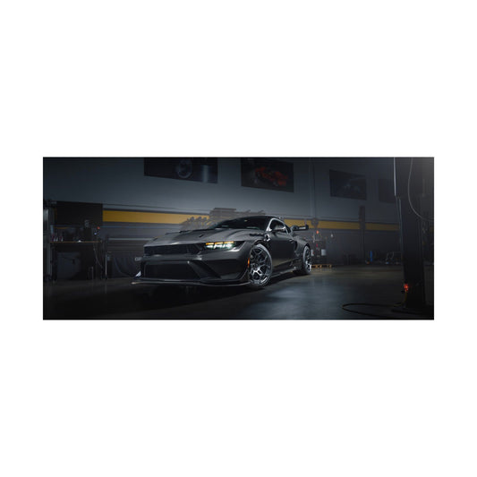 Liquid Carbon | Mustang GTD